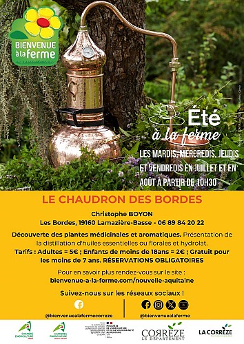 AFFICHE BAF ÉTÉ 2026 - PRODUCTEURS - LE CHAUDRON DES BORDES