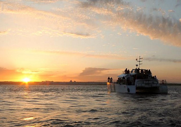 Croisière en catamaran & Barbecue au coucher de soleil - Au départ d'Albufeira