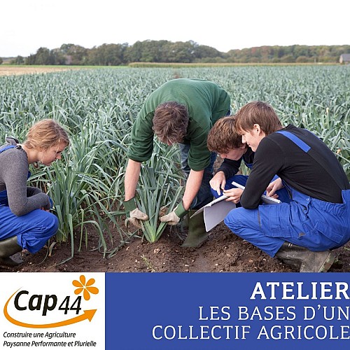 Atelier « Les Bases d’un collectif agricole » animé par le CAP44