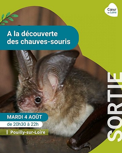Autres Club nature adulte sortie "A la découverte des chauves — free download