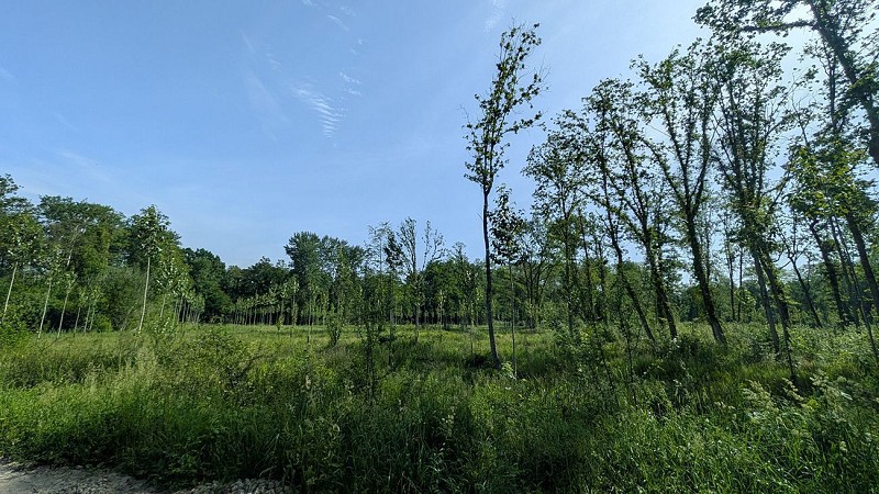 Prairie des Tue-vaches