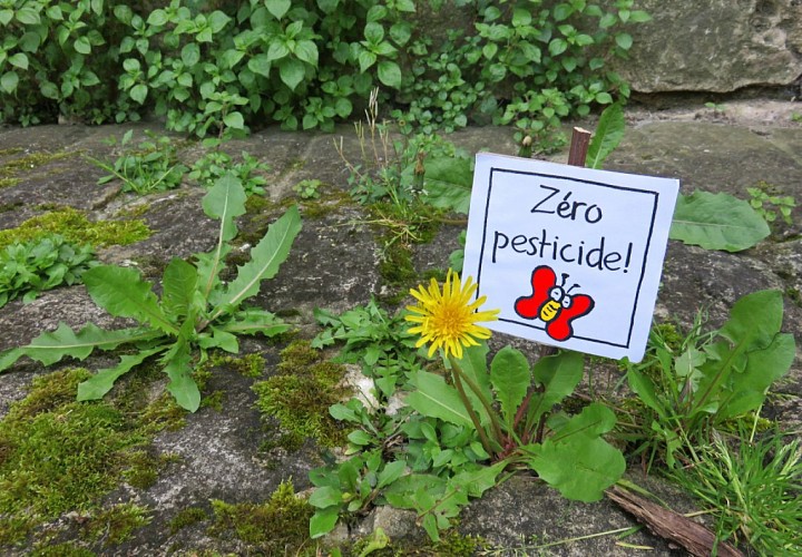 Dites « adieu » aux pesticides