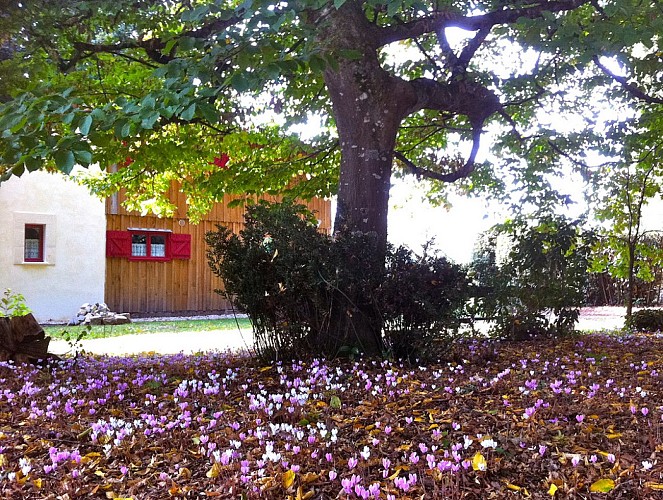 photo2