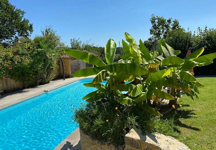 Périgord Noir Vallée Dordogne - Pierres du Peyrot - piscine (1)
