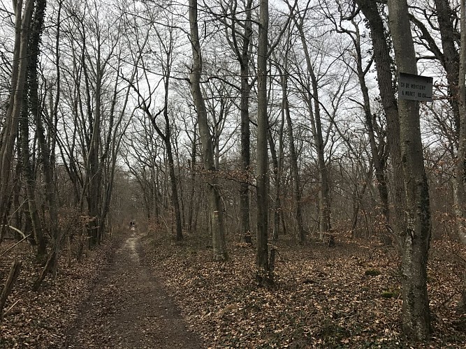 A gauche (Première intersection)