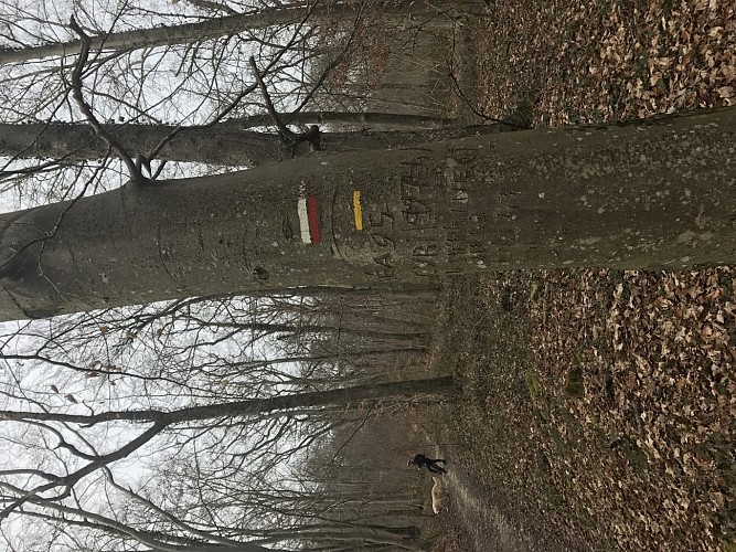 A gauche (Première intersection)