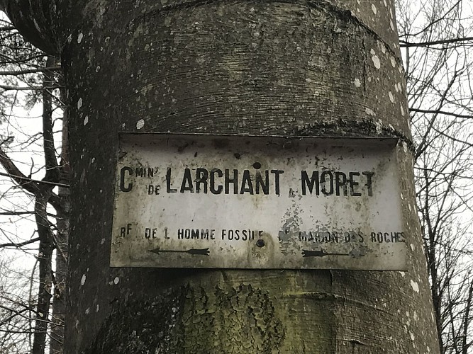 image du object