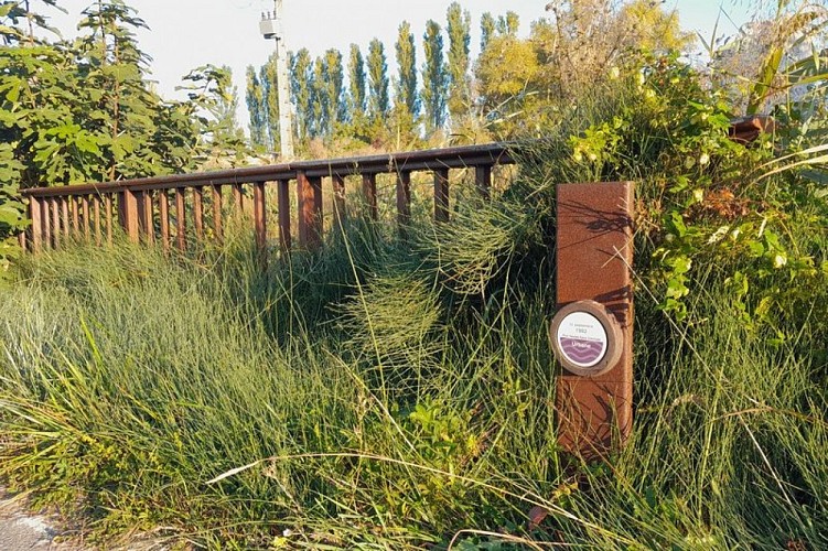 image du object