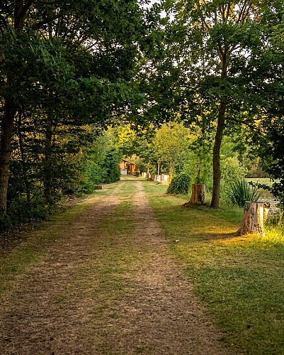 bressuire-o-lit-do-tente-safari-lodge-poste-de-peche