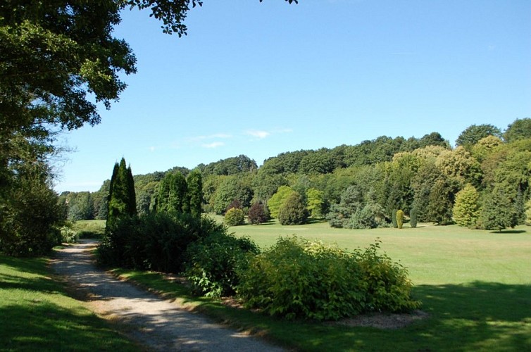 ARBORETUM, sentier partant sur la droite, OK3
