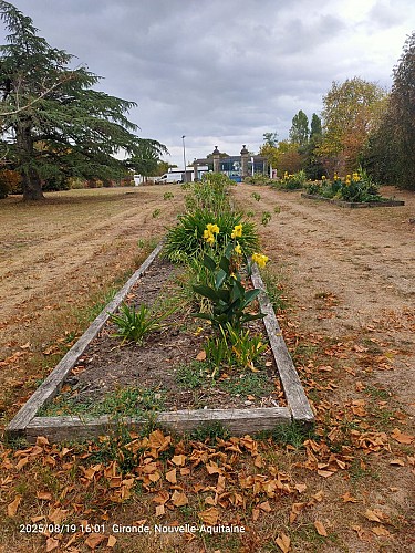 image du object