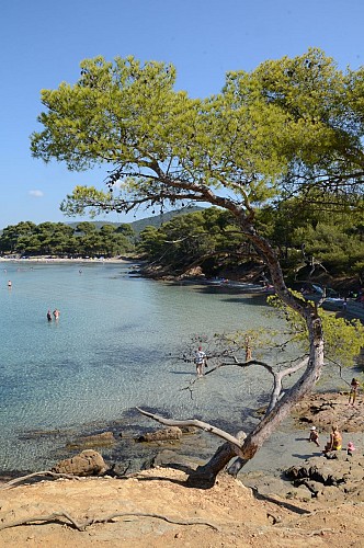 Plage de l'estagnol