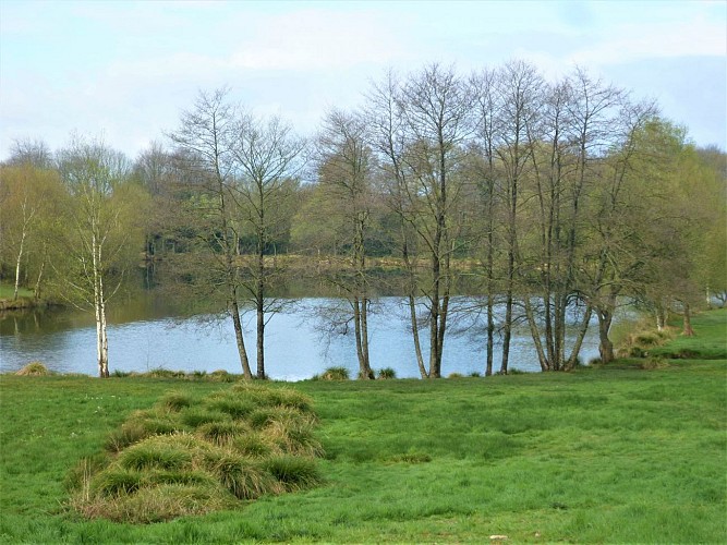 image du object