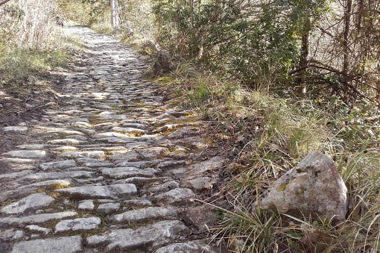 Calade de l'adret de Salen