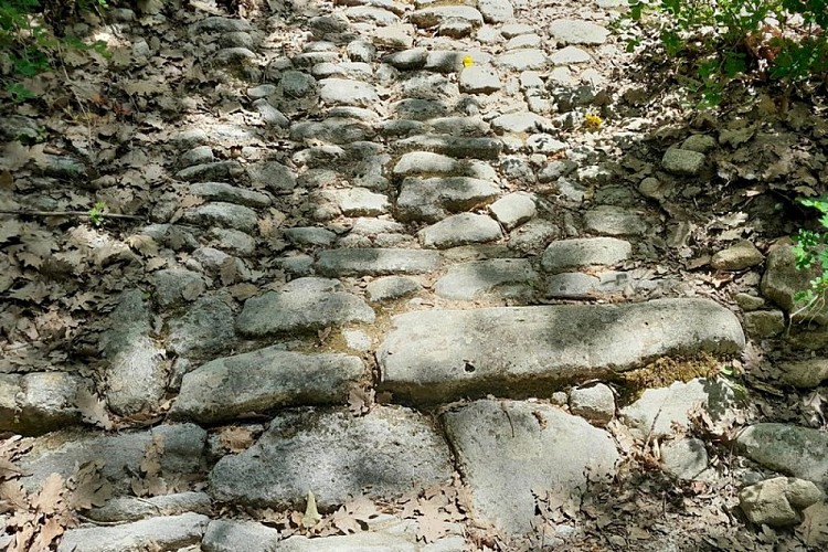 Calade de l'adret de Salen