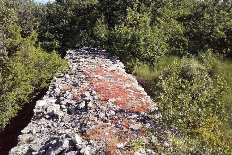 Mur en pierre sèche