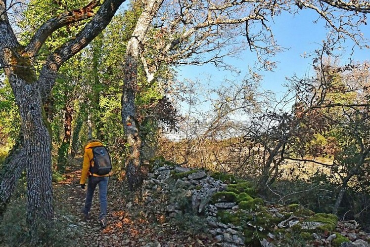 Sentier de Salen