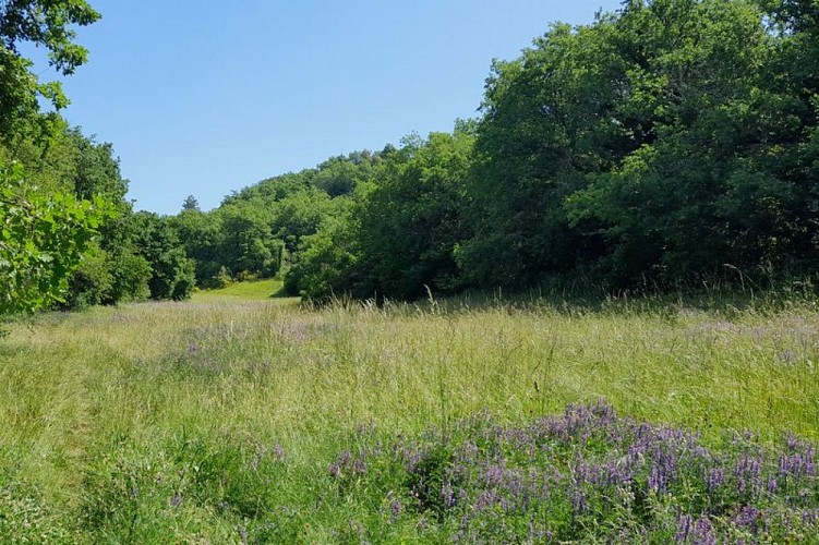 Prairie de l'Aiguebrun