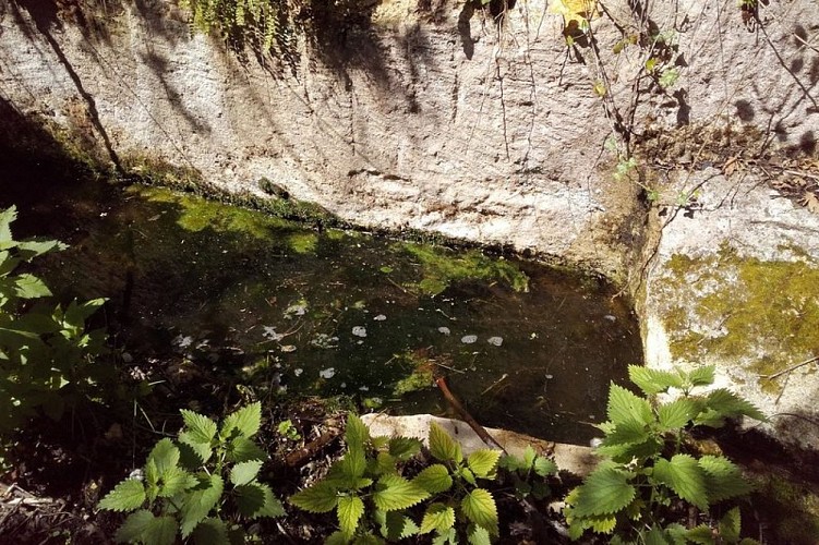 Source d'Escudelette