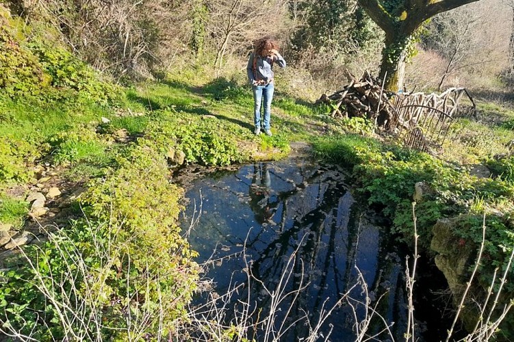 Bassin d'Escudelette