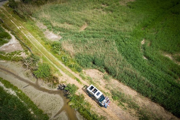 Camargue Autrement -4x4