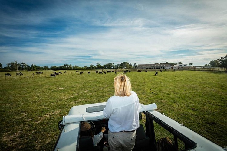 Camargue Autrement -4x4
