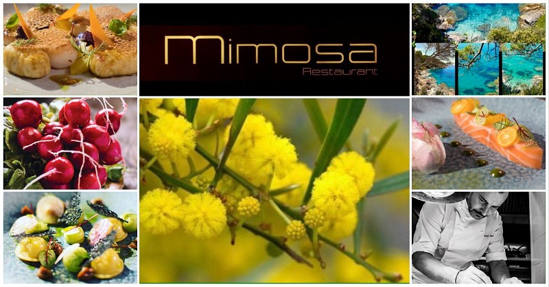 Mimosa Restaurant