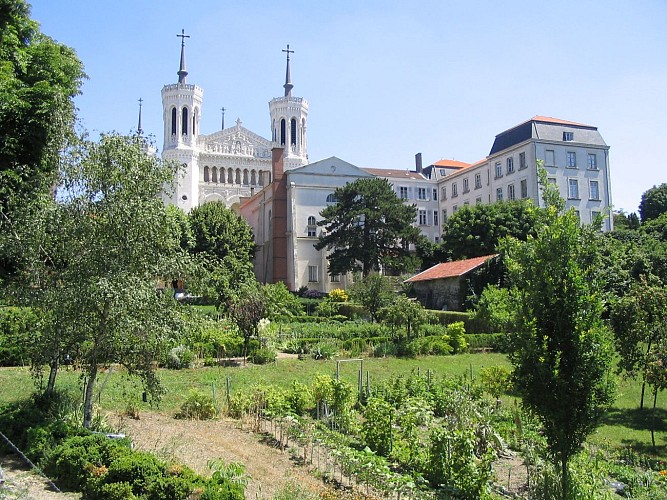 Basilique Notre-Dame de Fourvière