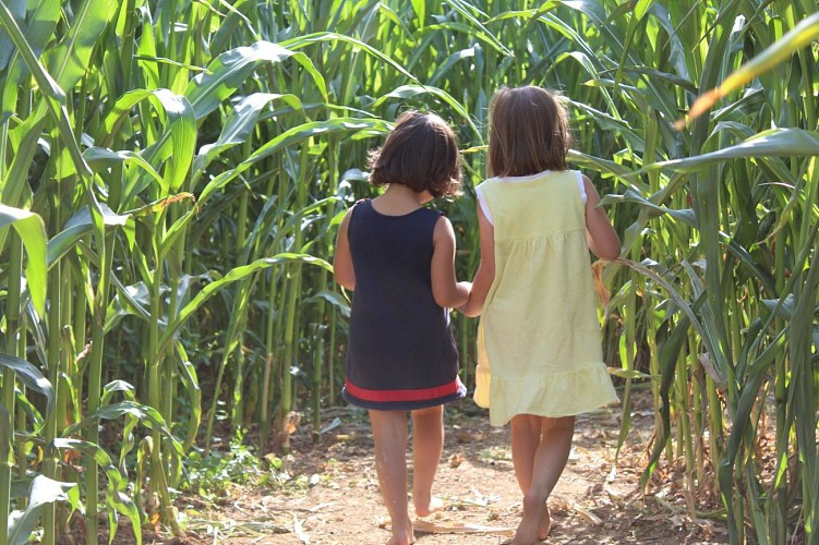 Labyrinthe de maïs de Montmédy