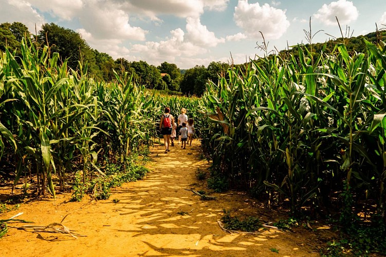 Labyrinthe de maïs de Montmédy