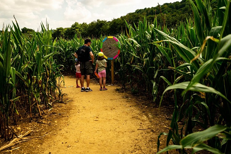 Labyrinthe de maïs de Montmédy