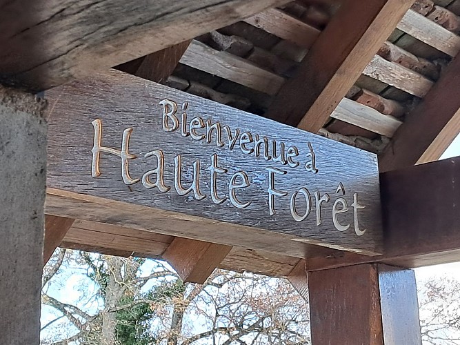 Haute Foret