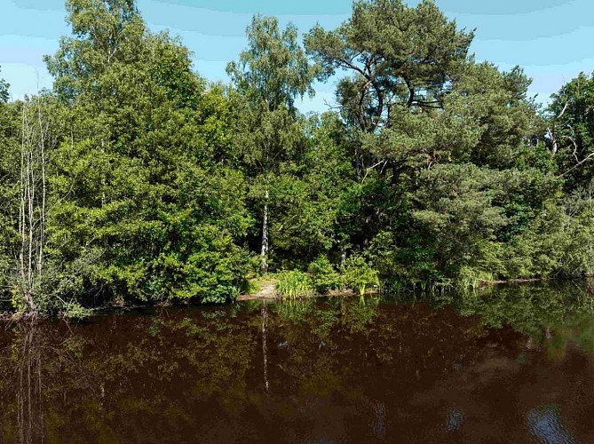 Nature sur le domaine des Cabanes des Veilleurs