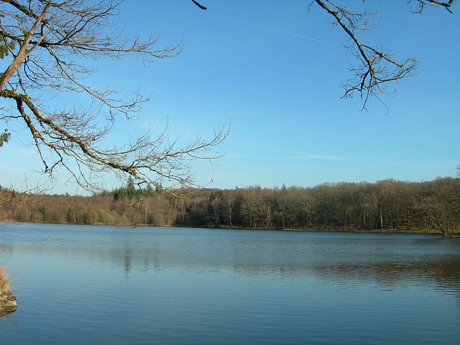 Etang de pêche 'Piquette' La Porcherie