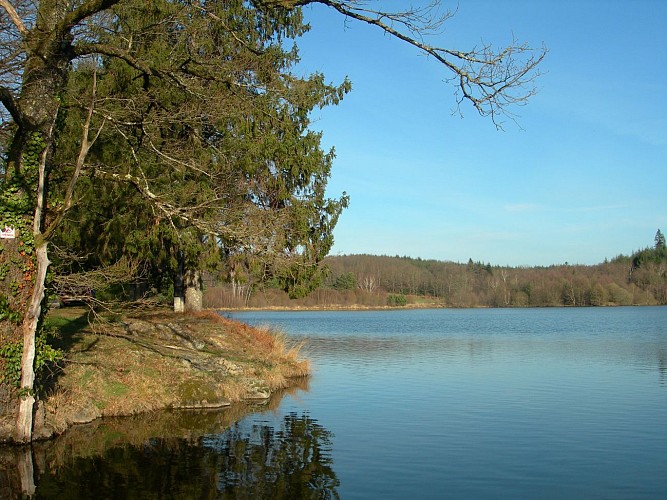 Etang de pêche 'Piquette' La Porcherie