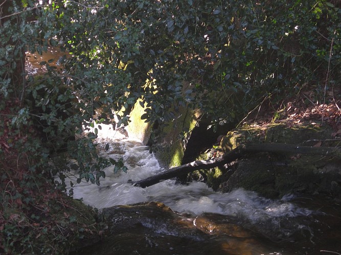 Etang de pêche 'Piquette' La Porcherie