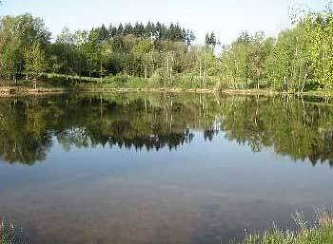 Etang de pêche 'Puychaumartin' à Château-Chervix