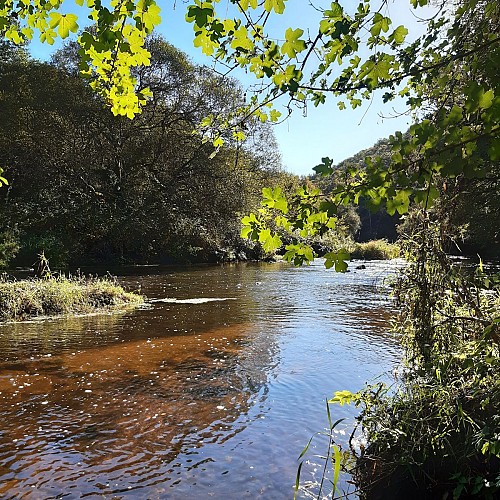 The Scorff and Pontkalleg Valley