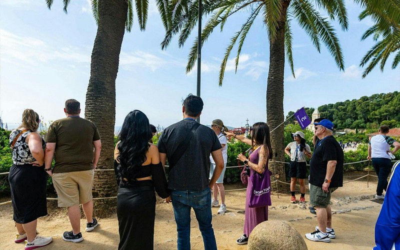 Park Güell Small-Group Guided Tour