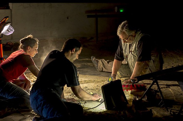 La Plage aux Ptérosaures