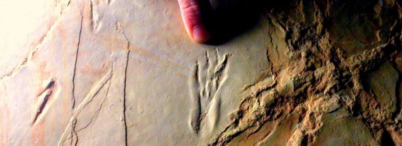 La Plage aux Ptérosaures