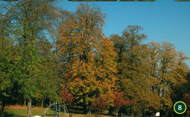 Le Parc de Tilleul