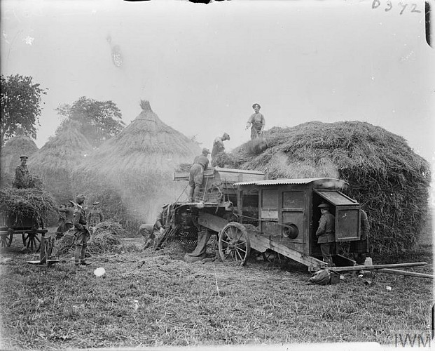 Soldats écossais effectuant les moissons. Septembre 1916