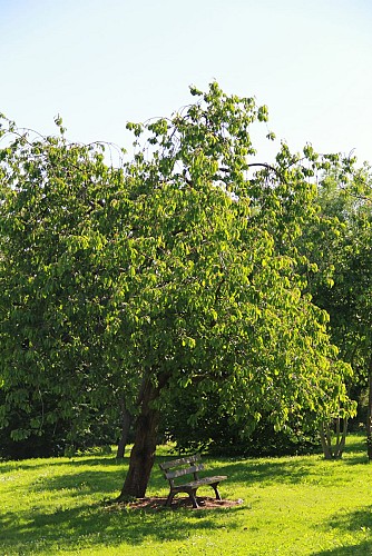 Parc du Mont Evrin