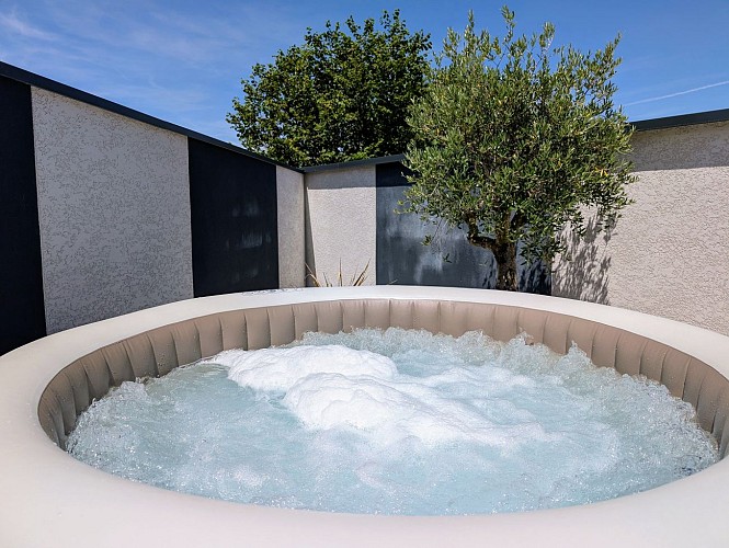 Tiny House de Saint Loup - SPA - Climatisée_7