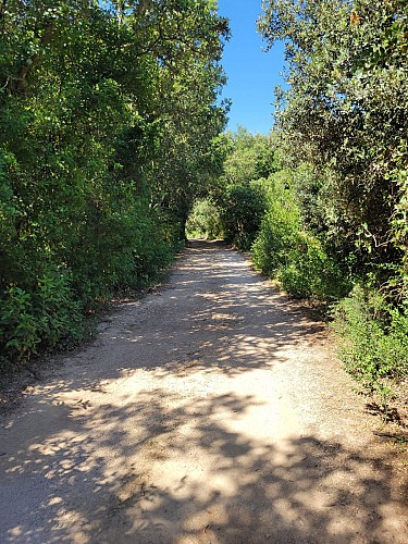 La Madone Trail