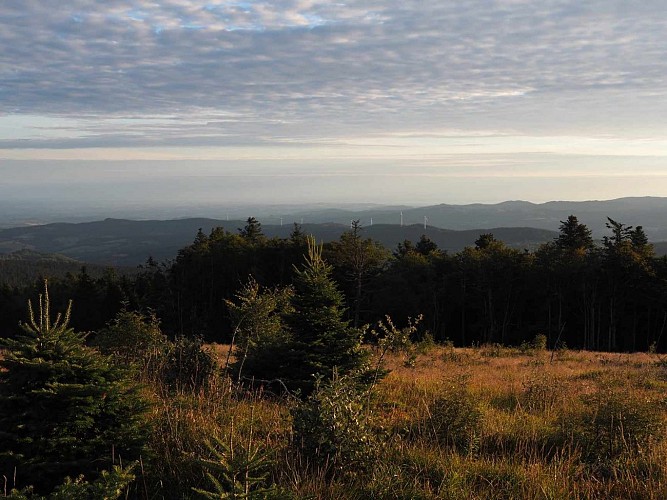 Randonnée gourmande sur le toit de l’Allier au coucher du soleil – Puy du Montoncel (entre Vichy et Roanne)