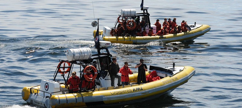 Croisière d'observation des baleines - Zodiac ou bateau - A Tadoussac & Baie-Sainte-Catherine