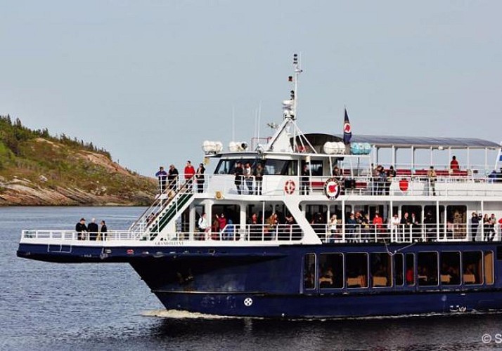 Autres Croisière d'observation des baleines Zodiac ou bateau A