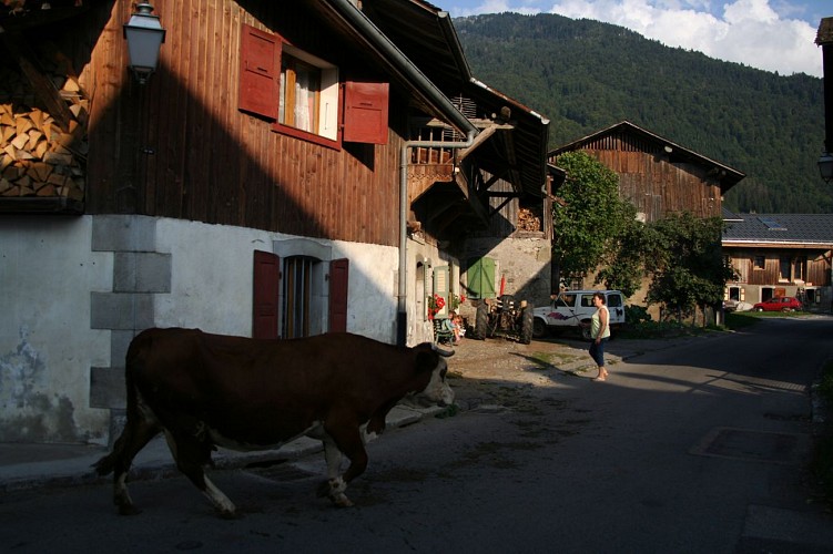 Guided tour: The village of Vallons and its chapel, in French
